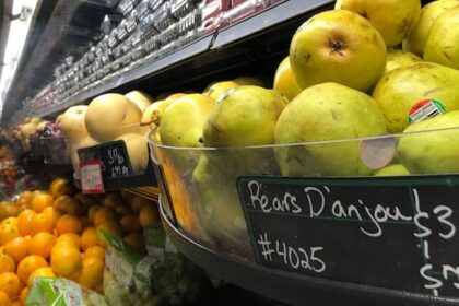 ‘headed-into-a-crisis’:-nunavut-community-worried-federal-food-voucher-program-could-end