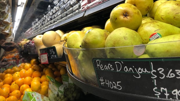 ‘headed-into-a-crisis’:-nunavut-community-worried-federal-food-voucher-program-could-end