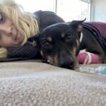 pei.-woman’s-service-dog-now-cancer-free,-awaiting-further-tests