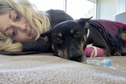 pei.-woman’s-service-dog-now-cancer-free,-awaiting-further-tests