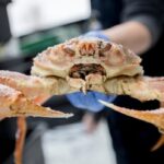 pei.-snow-crab-fishers-to-start-2025-season-grappling-with-reduced-quota,-trade-concerns