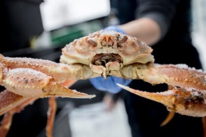 pei.-snow-crab-fishers-to-start-2025-season-grappling-with-reduced-quota,-trade-concerns
