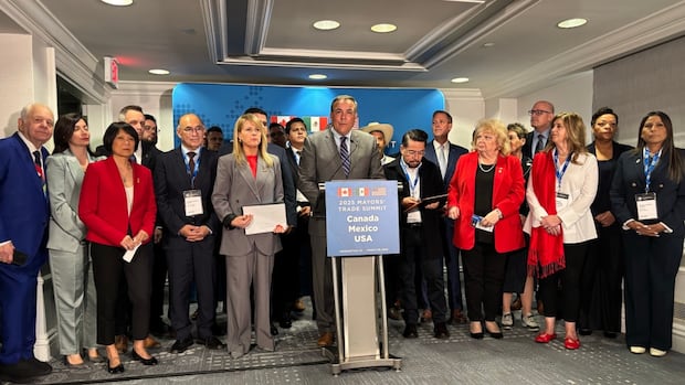 nb-mayor-goes-to-washington,-hears-us.-counterparts-share-tariff-concerns
