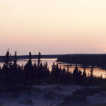 waswanipi-tallyman-seeks-justice-from-local-cree-forestry-company