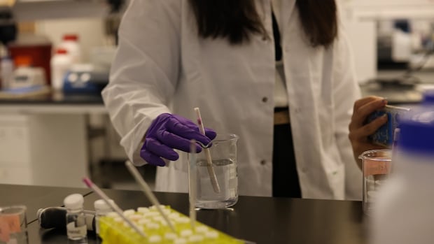 stir-stick-that-detects-spiked-drinks-developed-by-ubc-researchers