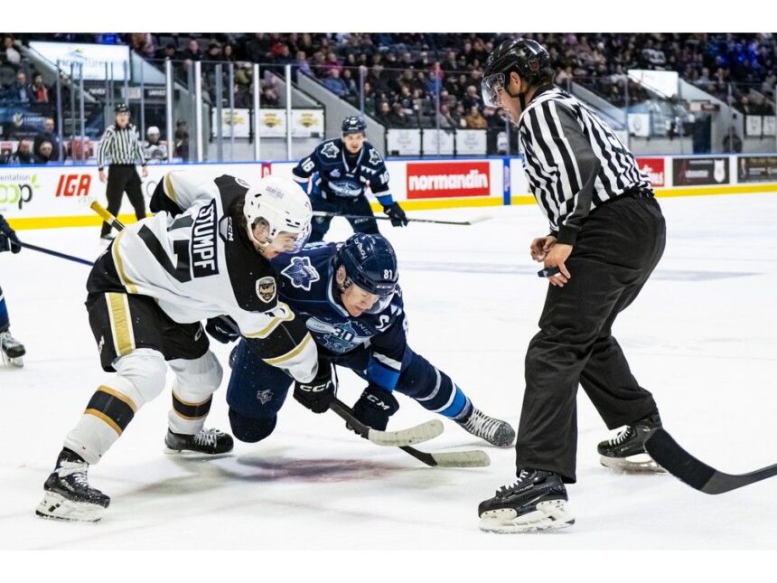 charlottetown-looks-to-rebound-on-home-ice-in-game-3-on-april-1