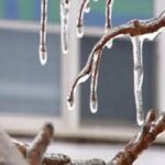 western-pei.-under-freezing-rain-warning-for-monday-morning
