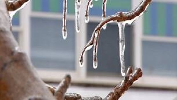 western-pei.-under-freezing-rain-warning-for-monday-morning