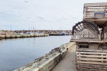 already-hit-by-china,-nova-scotia’s-seafood-sector-braces-for-upcoming-us.-tariffs