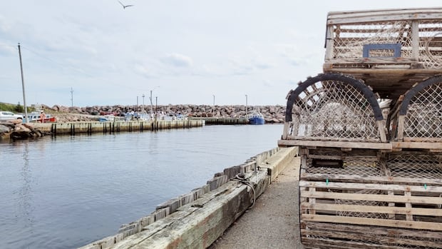 already-hit-by-china,-nova-scotia’s-seafood-sector-braces-for-upcoming-us.-tariffs
