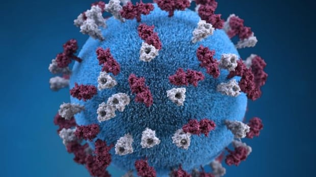 health-officials-on-high-alert,-but-no-reports-of-measles-so-far-after-march-break-in-ns.