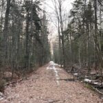once-a-bustling-rail-line,-a-moncton-path-tells-a-former-railway’s-story