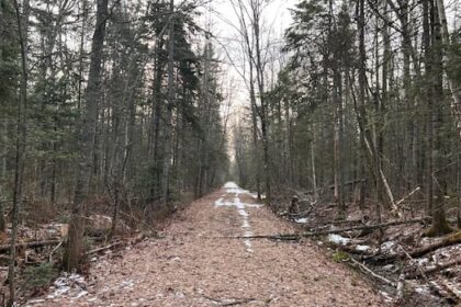 once-a-bustling-rail-line,-a-moncton-path-tells-a-former-railway’s-story