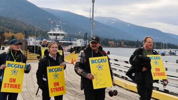 bc.-government-appoints-special-mediator-in-kootenay-lake-ferry-strike