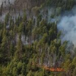 clearwater,-bc.,-launches-its-own-wildland-firefighting-team-amid-ongoing-drought