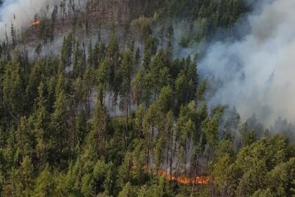clearwater,-bc.,-launches-its-own-wildland-firefighting-team-amid-ongoing-drought