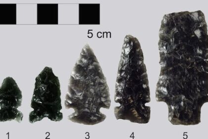 obsidian-artifacts-unearthed-in-alberta-offer-new-clues-on-prehistoric-trade-routes