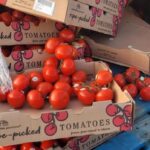 dumped-fruit-ended-up-in-nb.-landfill-because-donating-would-have-been-too-risky,-group-says