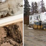 surviving-mouldy-homes-and-camper-living-in-rural-ns.