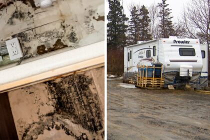 surviving-mouldy-homes-and-camper-living-in-rural-ns.