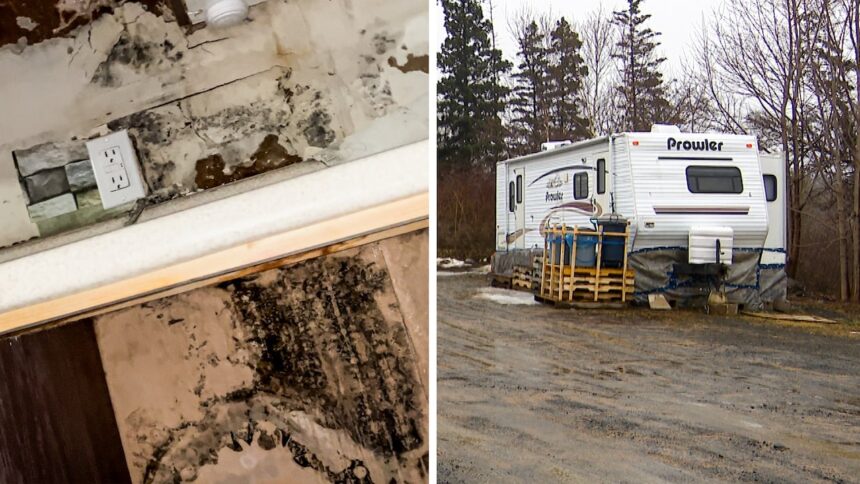 surviving-mouldy-homes-and-camper-living-in-rural-ns.