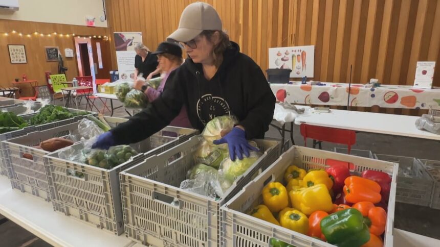 halifax-approves-big-funding-boost-for-mobile-food-market