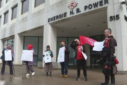 advocates-call-for-energy-poverty-strategy-as-nb.-power-rates-increase