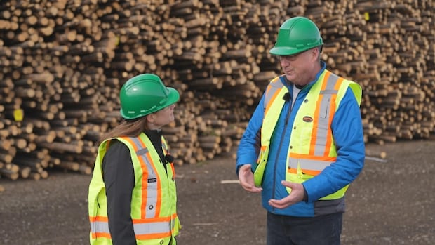 trump’s-tariff-war-could-collapse-bc.’s-struggling-forest-industry