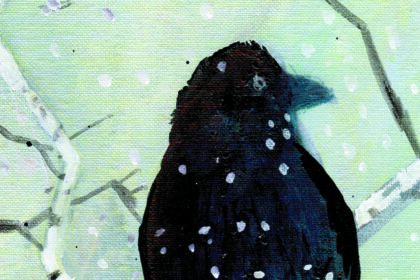 feature-artist-for-february-2025:-linus-woods