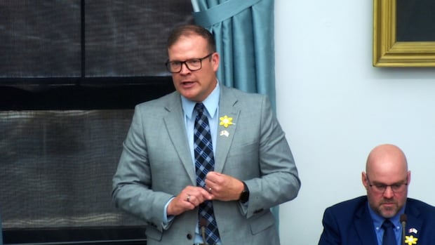 cancel-nhl-deal-and-spend-more-on-bringing-canadian-tourists-to-pei.,-opposition-tells-province