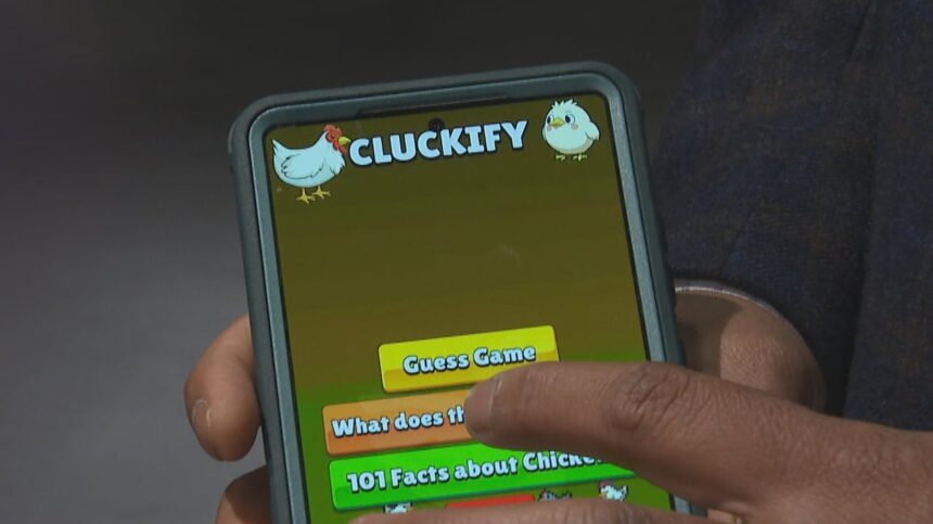 app-helping-dalhousie-researchers-understand-birds