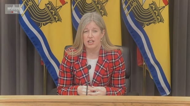 nb.-may-have-dodged-bullet-with-trump-tariff-plan,-but-uncertainty-remains,-holt-says