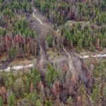 90-metre-landslide-shuts-road-north-of-lake-okanagan-resort,-fire-chief-says