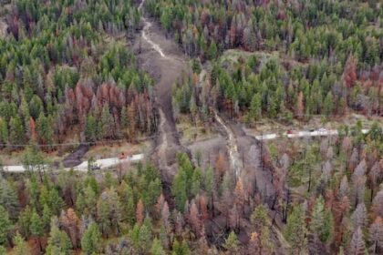90-metre-landslide-shuts-road-north-of-lake-okanagan-resort,-fire-chief-says