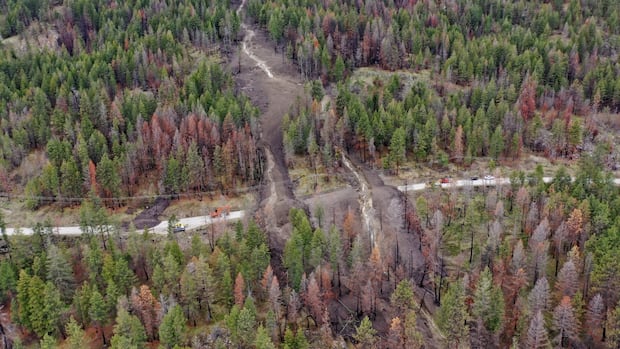 90-metre-landslide-shuts-road-north-of-lake-okanagan-resort,-fire-chief-says