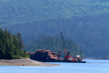 bc.-court-rules-against-logging-company-in-haida-gwaii-dispute