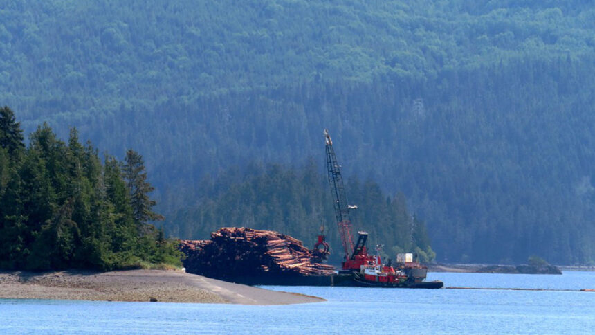 bc.-court-rules-against-logging-company-in-haida-gwaii-dispute
