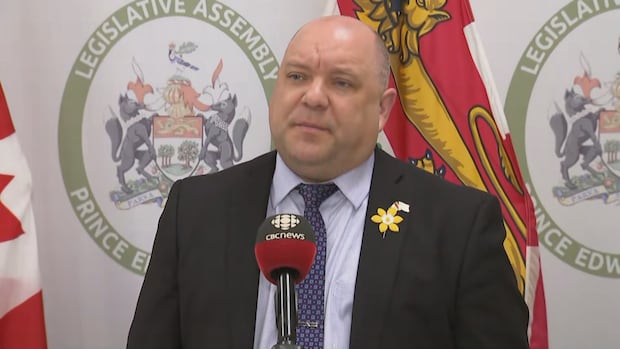 province-says-pei.-power-grid-review-coming-soon,-as-mlas-from-3-parties-raise-concerns