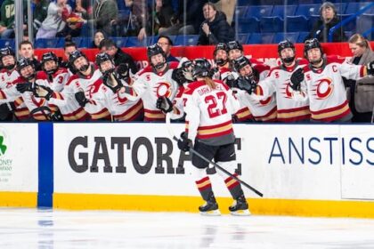 all-3-canadian-teams-go-into-pwhl-break-in-playoff-positions