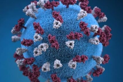 ontario-reports-89-new-measles-cases,-bringing-provincial-count-to-661