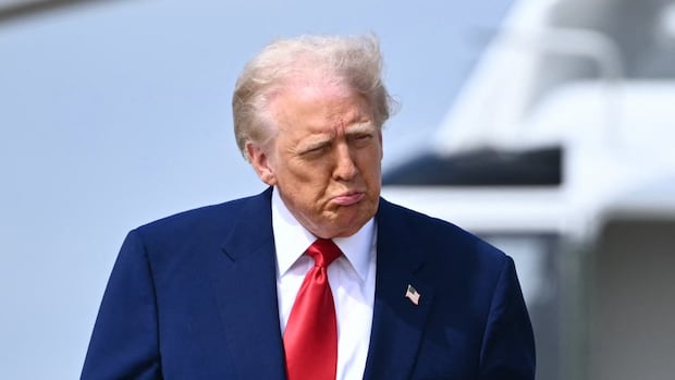 trump-wants-to-upend-the-entire-global-order.-can-he-stomach-the-price-tag?