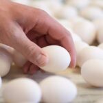 egg-prices-soar-in-the-us-but-not-in-bc.-here’s-why