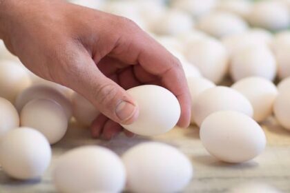 egg-prices-soar-in-the-us-but-not-in-bc.-here’s-why