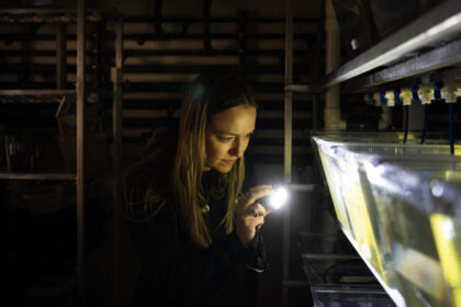 in-a-nova-scotia-research-lab,-the-last-hope-for-an-ancient-fish-species