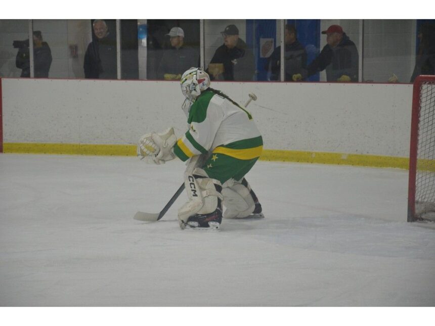 goaltender-olivia-lowe-has-allowed-only-two-goals-in-first-three-games-for-pei.-champions