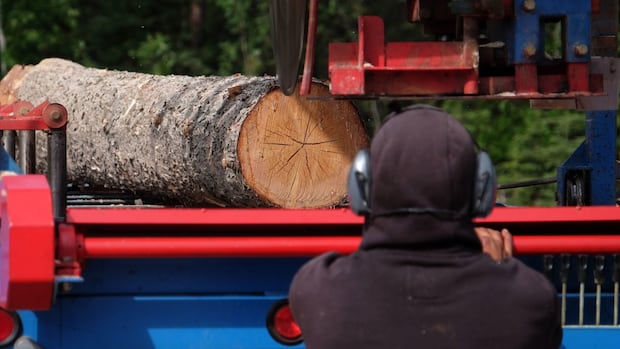 us.-set-to-significantly-hike-softwood-lumber-duties-against-canada