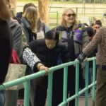 high-interest-and-80%-cut-in-polling-staff-lead-to-major-lines-in-vancouver-byelection
