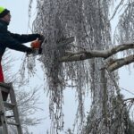 less-than-70,000-customers-remain-without-power-after-ontario-ice-storms:-hydro-one