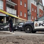 ottawa-homicides-concerning,-but-not-necessarily-on-the-rise,-experts-say