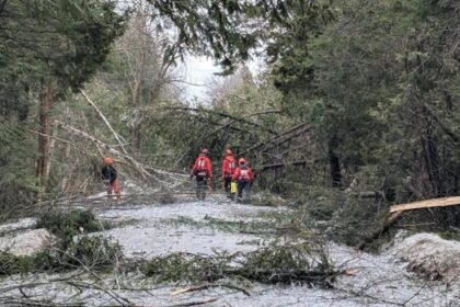 veterans-use-front-line-experience-to-help-peterborough,-ont.,-with-ice-storm-recovery